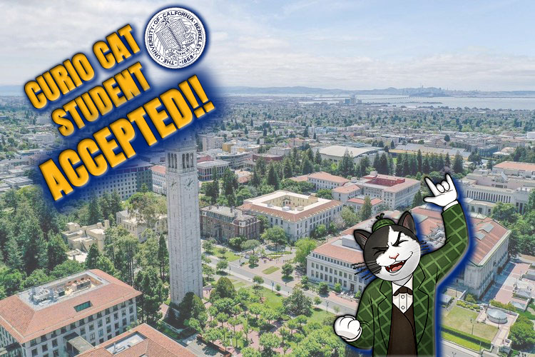 UC Berkeley